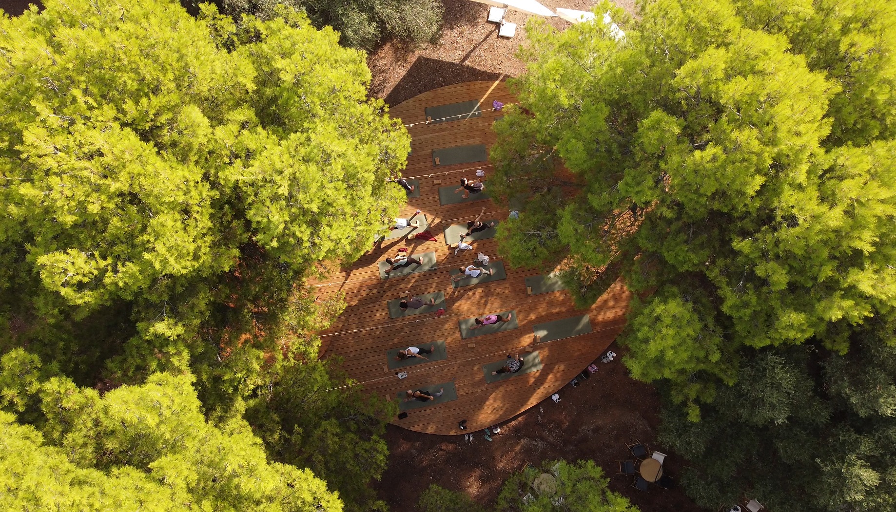 Vista aérea de la plataforma de movimiento de Bosque Masía Bellver entre pinos mediterráneos